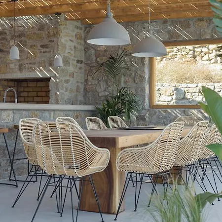 Oasis 1 *